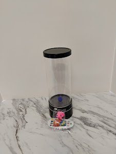 Light Ring Bubble Fish Light USB with Remote Control